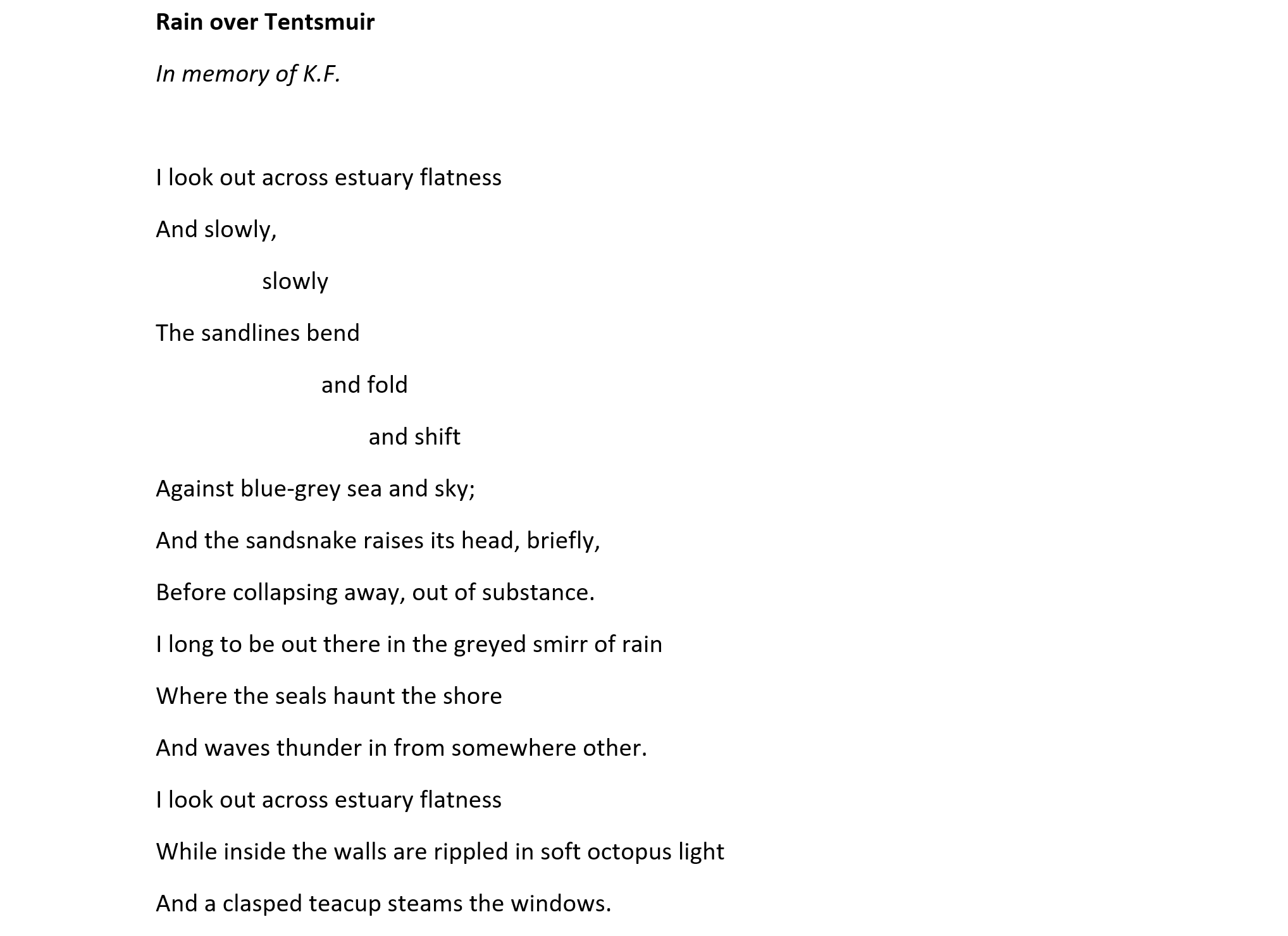 rain over tentsmuir by Lesley Curwen