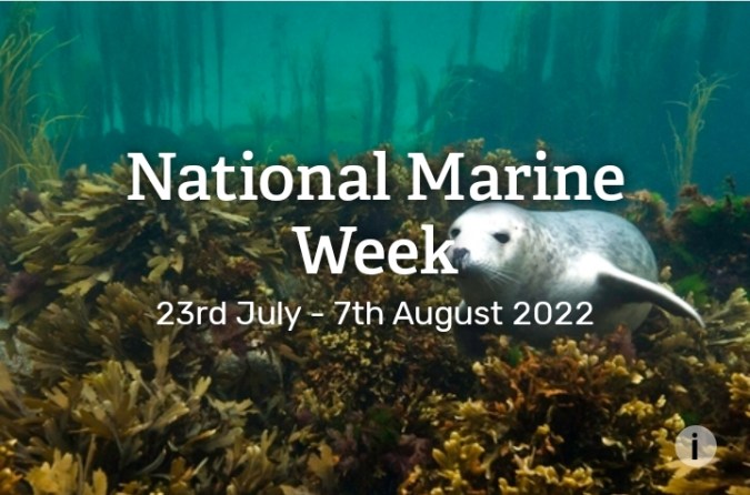 Screenshot_2022-07-14-21-07-55-17_40deb401b9ffe8e1df2f1cc5ba480b12