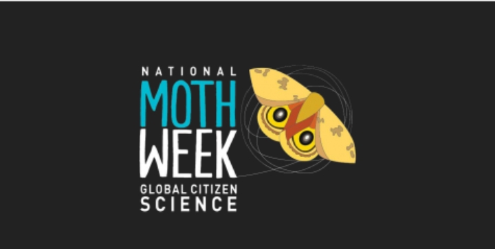 screenshot_2022-07-16-08-46-49-68_40deb401b9ffe8e1df2f1cc5ba480b12