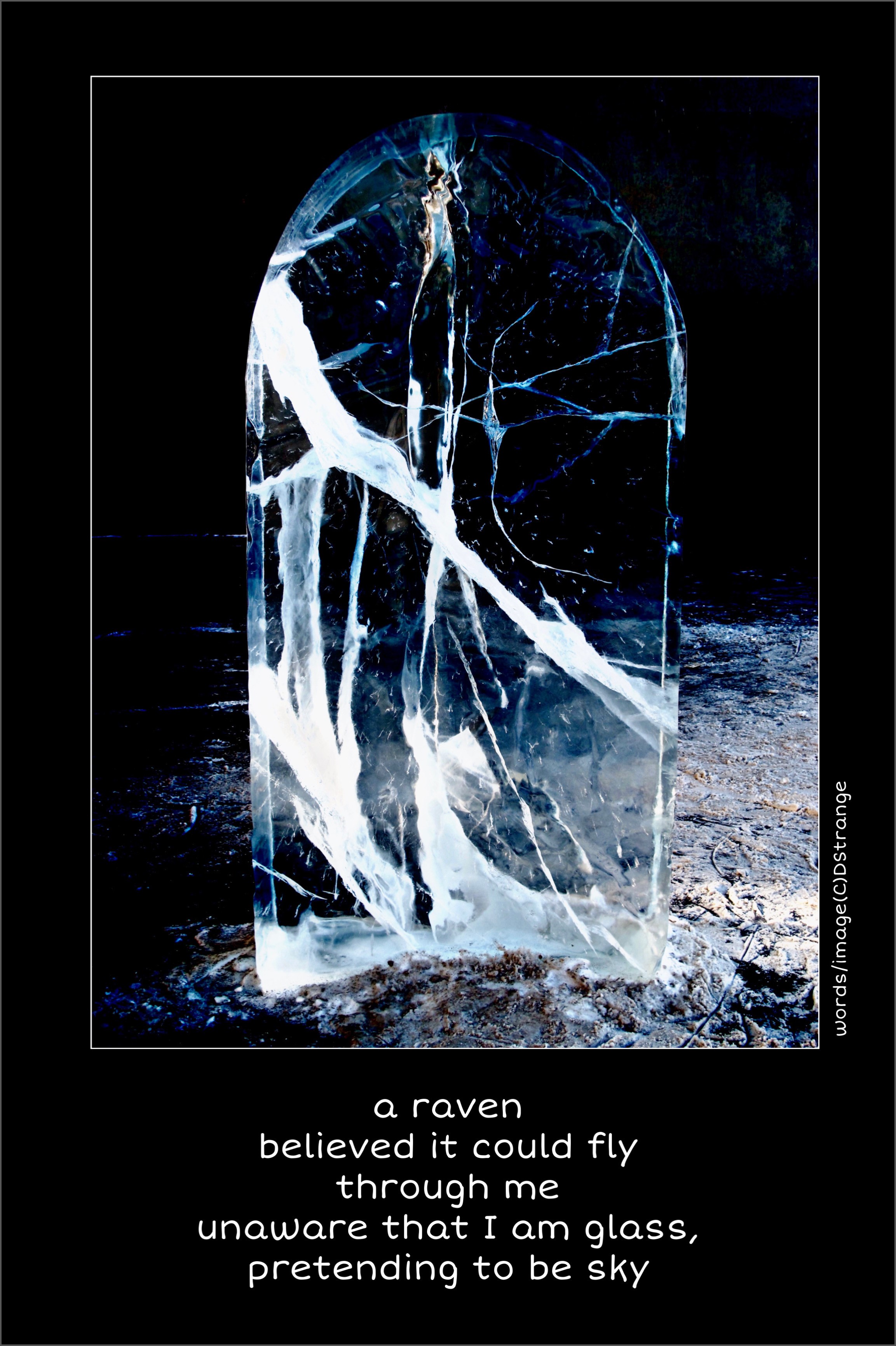 debbie strange raven