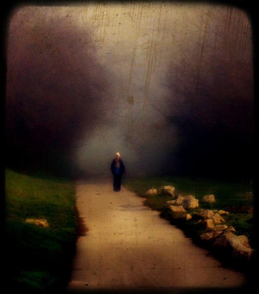 Homeless in the Mist (photo by Jinn Bug) synergy