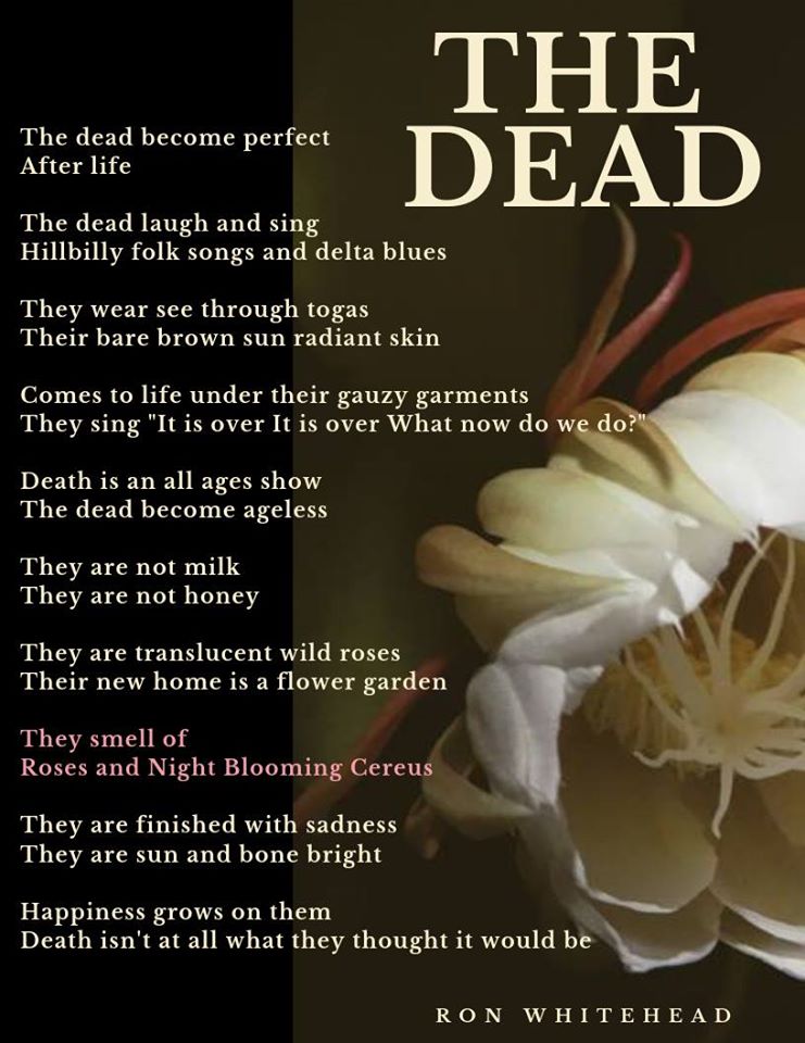 The Dead by Ron Whitehead Synergy