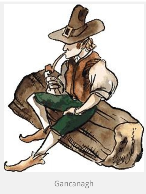 F 1.19. Gancanagh